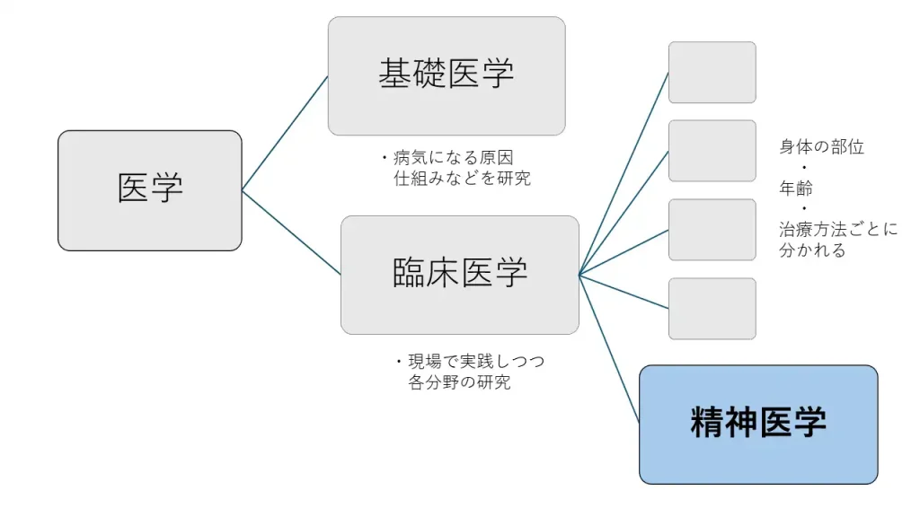 医学は「基礎医学」と「臨床医学」に分かれる。臨床医学のひとつが精神医学。